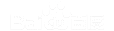 ��ҴAI�Ż�